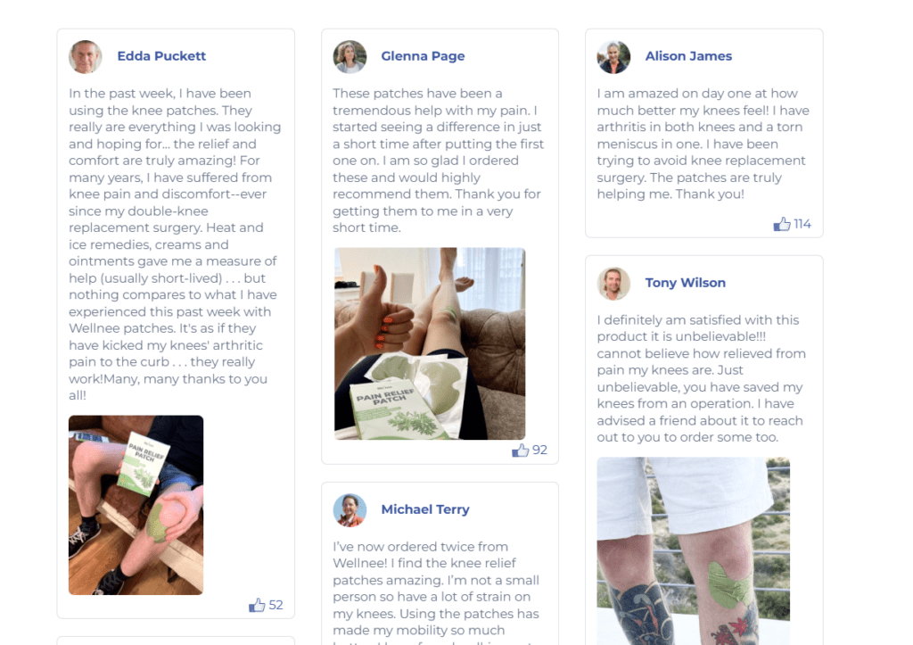 Wellnee Pain Relief Patch Scam