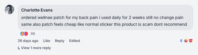 Wellnee Pain Relief Patch Scam