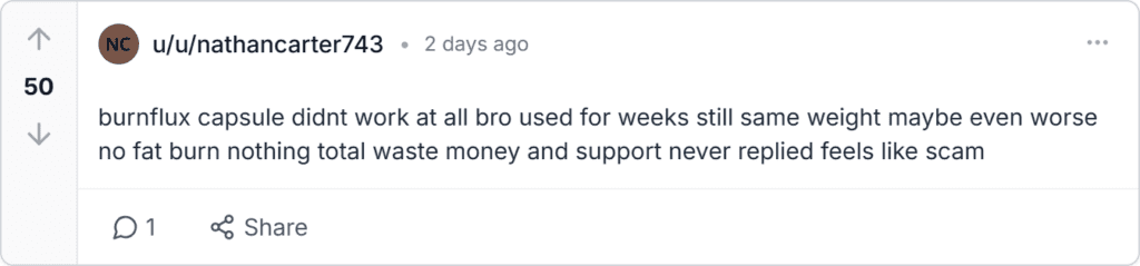 BurnFlux Scam