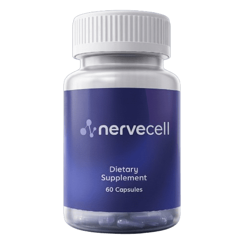 NerveCell