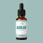 AudiLeaf Scam