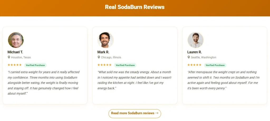 sodaburn manipulated reviews
