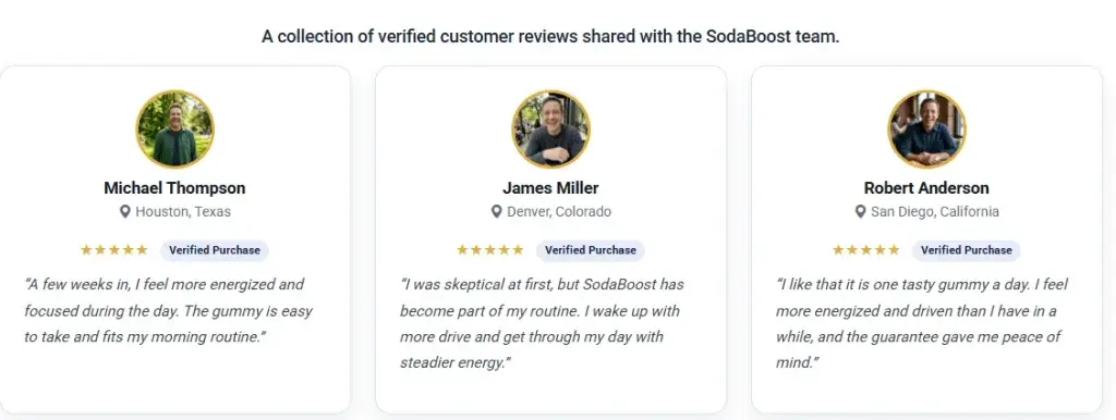 Sosaboost reviews